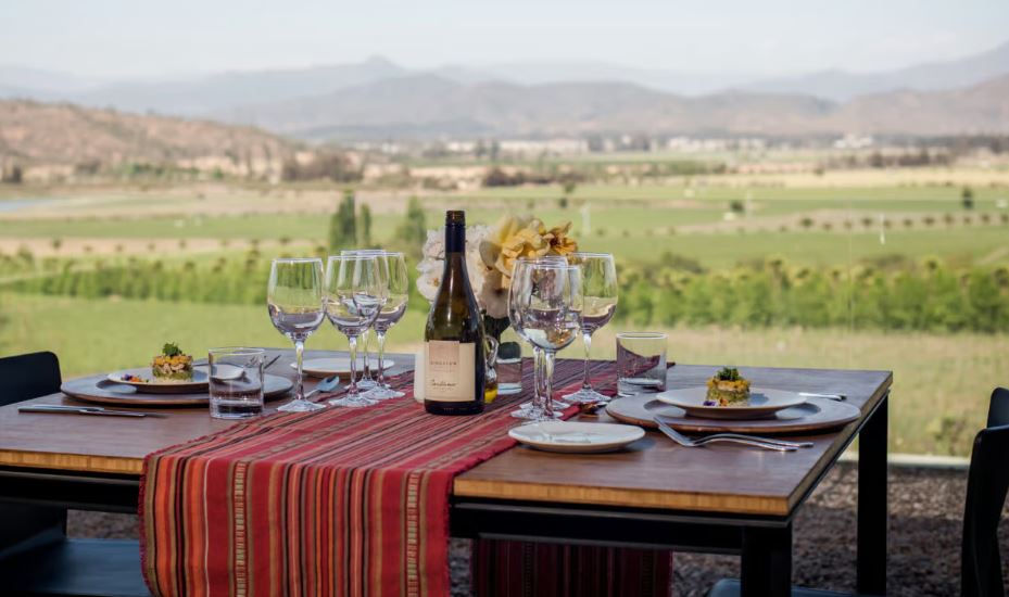 “TOUR PREMIUM 2 VIÑAS" CON ALMUERZO Y TRASLADOS PARA 10 PERS