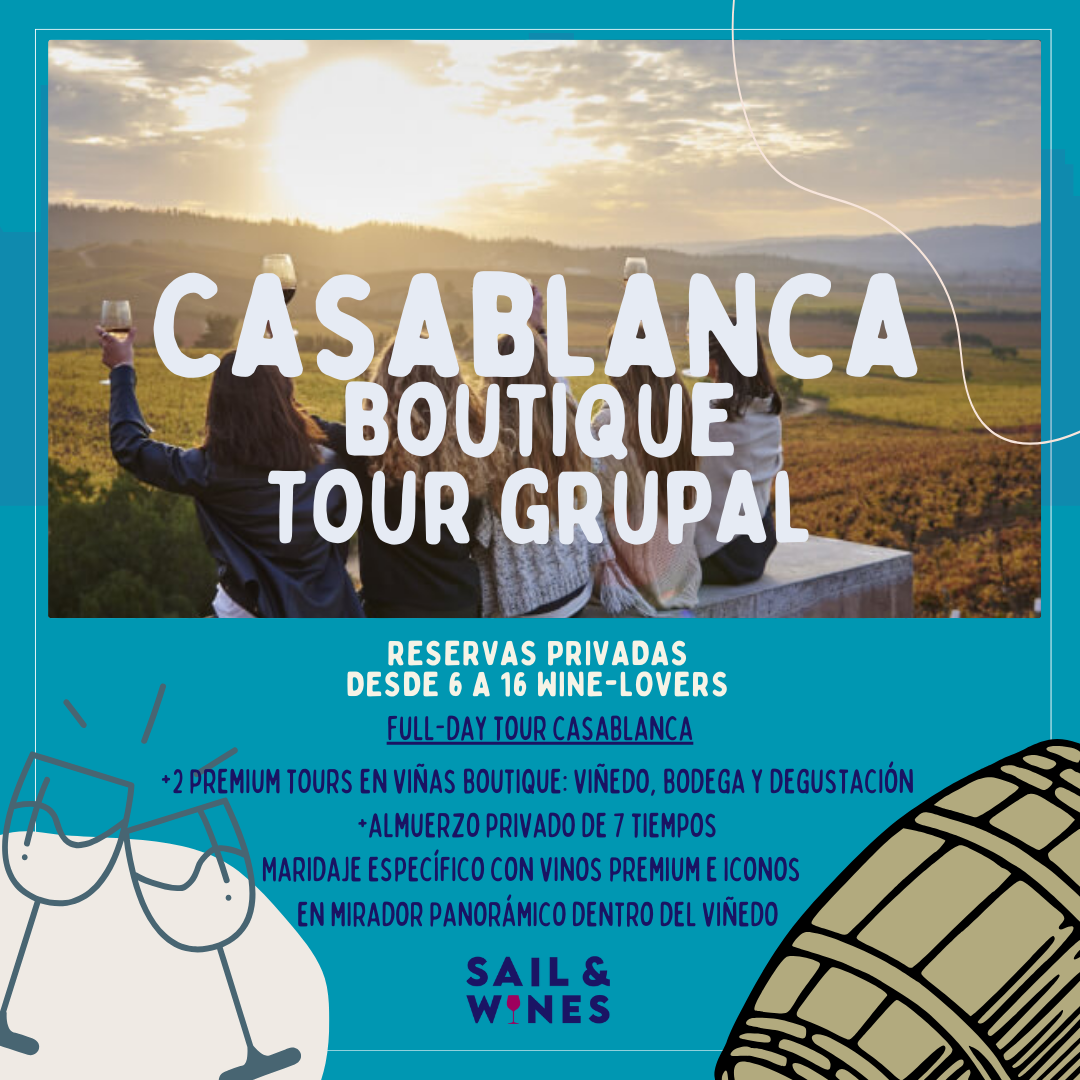 Tours por Valles Vitivinícolas | Full-Day con Sail & Wines