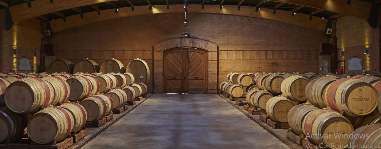 “TOUR PREMIUM 2 VIÑAS" CON ALMUERZO Y TRASLADOS PARA 10 PERS