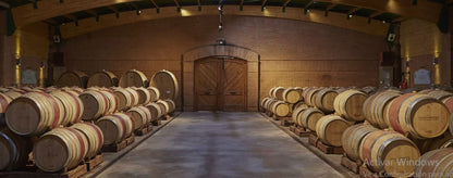 “TOUR PREMIUM 2 VIÑAS" CON ALMUERZO Y TRASLADOS PARA 10 PERS