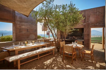 “TOUR PREMIUM 2 VIÑAS" CON ALMUERZO Y TRASLADOS PARA 10 PERS