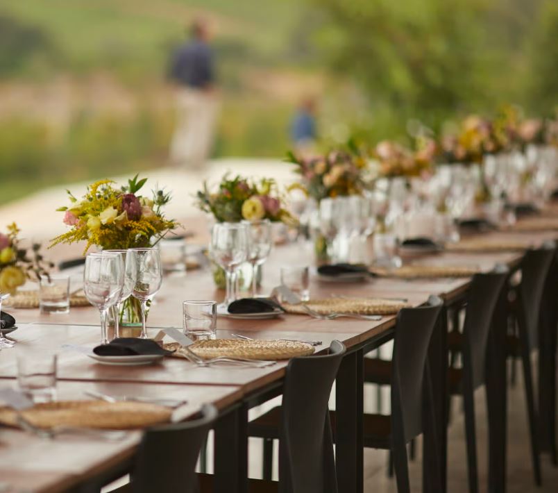 “TOUR PREMIUM 2 VIÑAS" CON ALMUERZO Y TRASLADOS PARA 10 PERS