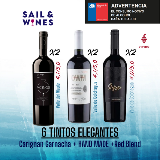 6x "ESPECIAL SELECCIÓN TOP AUTOR"