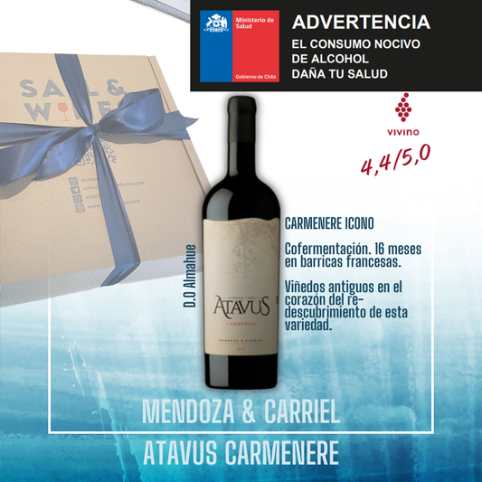 Mendoza & Carriel - Atavus Carmenere 2022