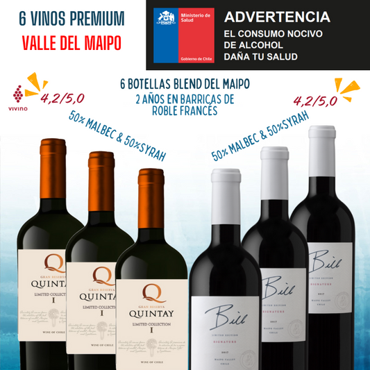 6 vinos Valle del Maipo Premium