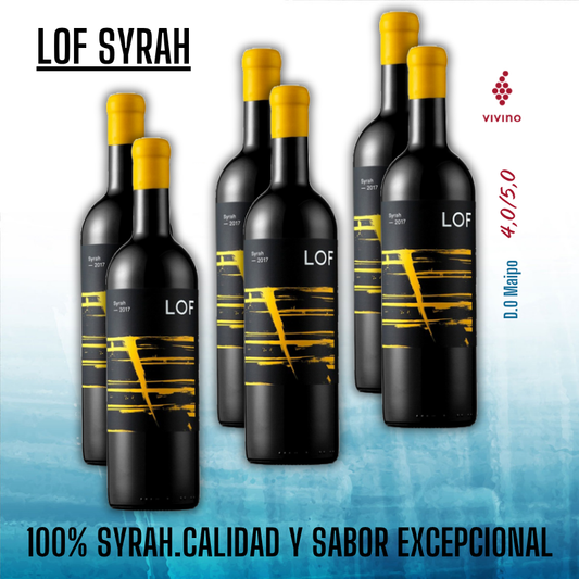 6x  Syrah 2021  Valle del Maipo !!!