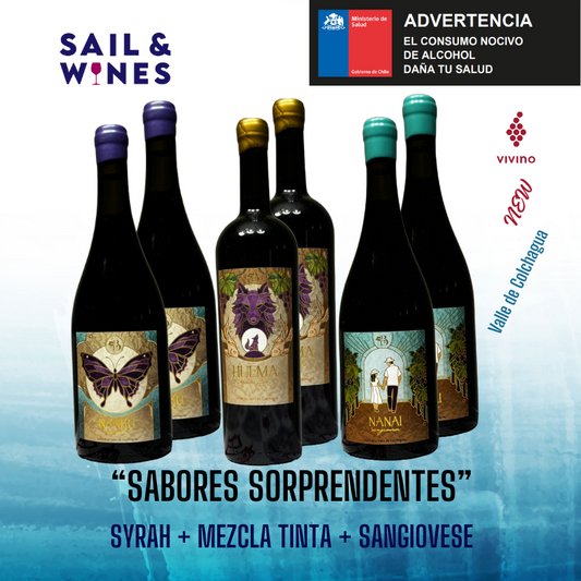 6x "Nuevos Sabores"