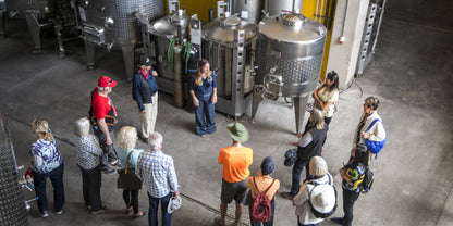 “TOUR PREMIUM 2 VIÑAS" CON ALMUERZO Y TRASLADOS PARA 10 PERS